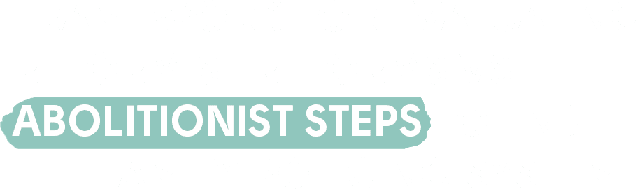 Framework for evaluating reformist reforms vs. Abolitionist steps to end the family policing system
