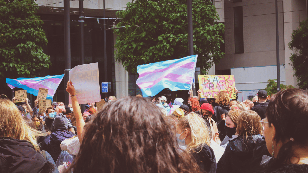 A crowd of people protest with sins that say "Black Trans Lives Matter"